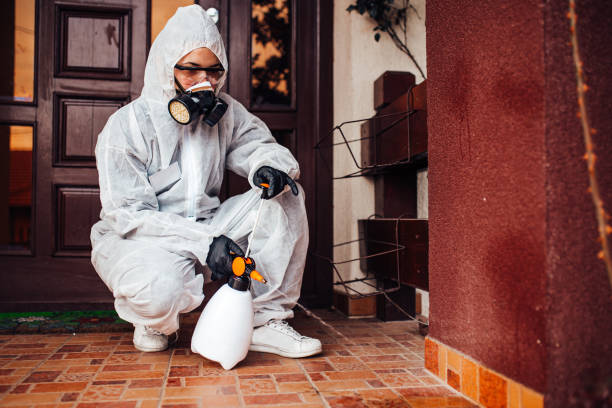 Reliable Cockroach Control contractor in Caddo, OK by Nex Pest Control